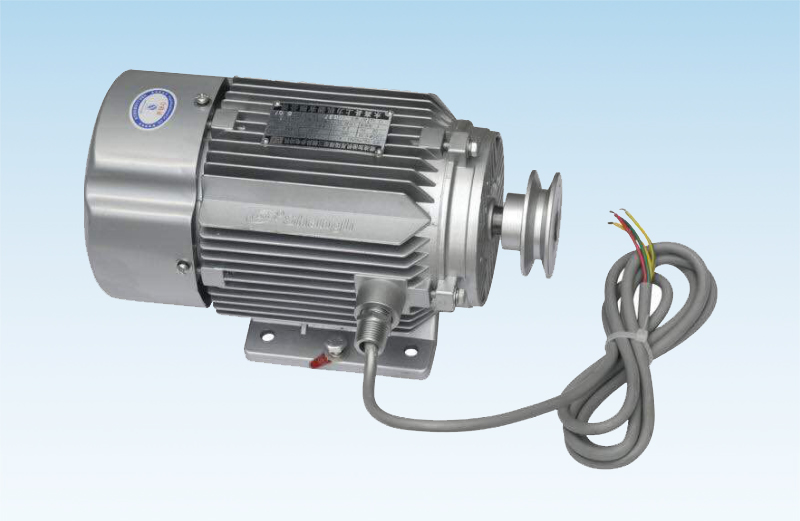 WDMAL Explosion Proof Motor