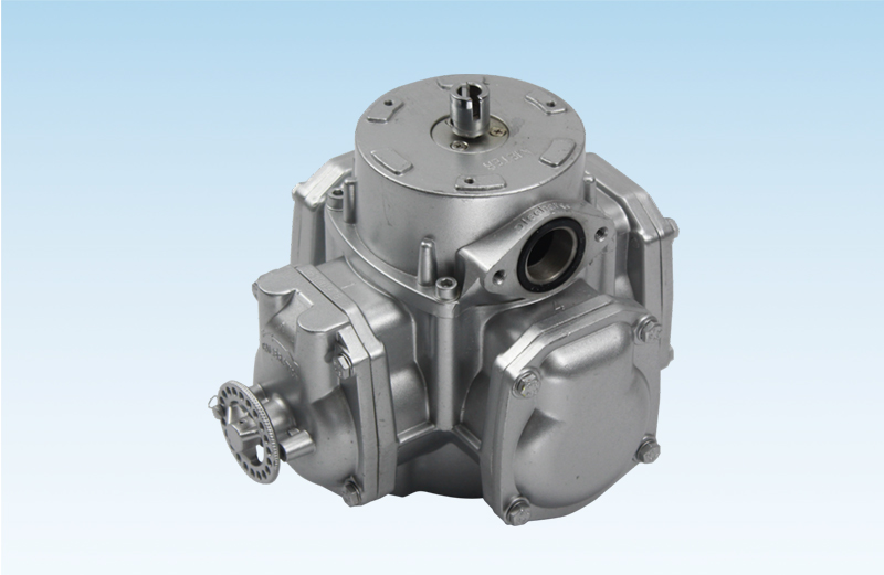 WDFBNT Flow Meter