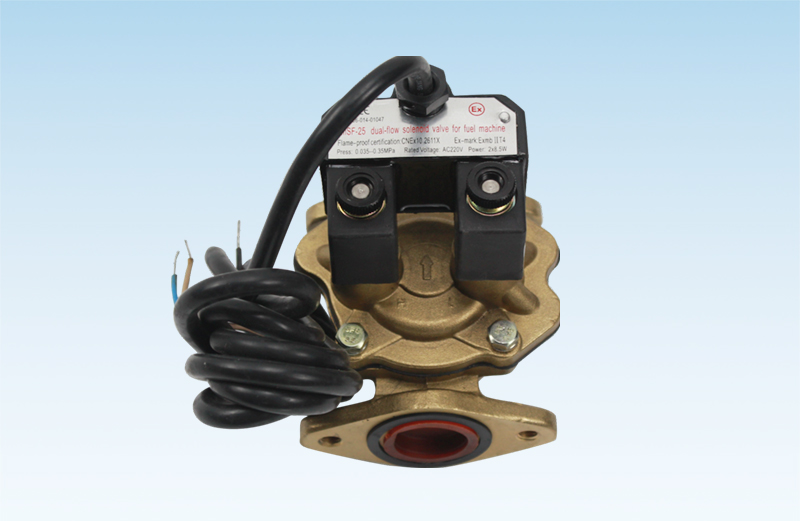 WDF20 Series Solenoid Valve