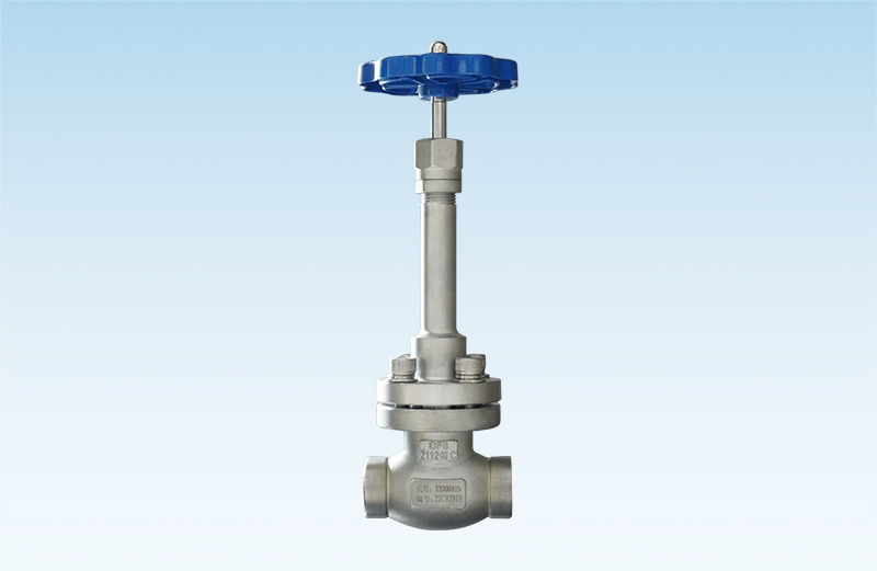 Cryogenic Globe Valve