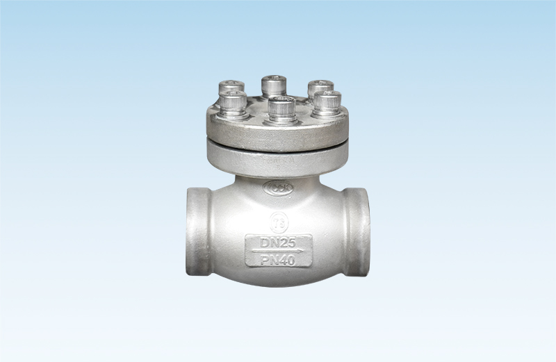 Cryogenic Check Valve