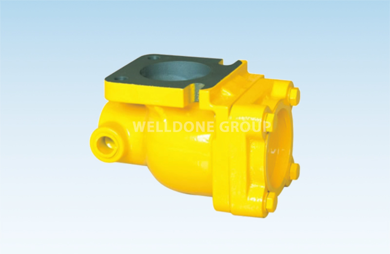 Q Series Check Valve