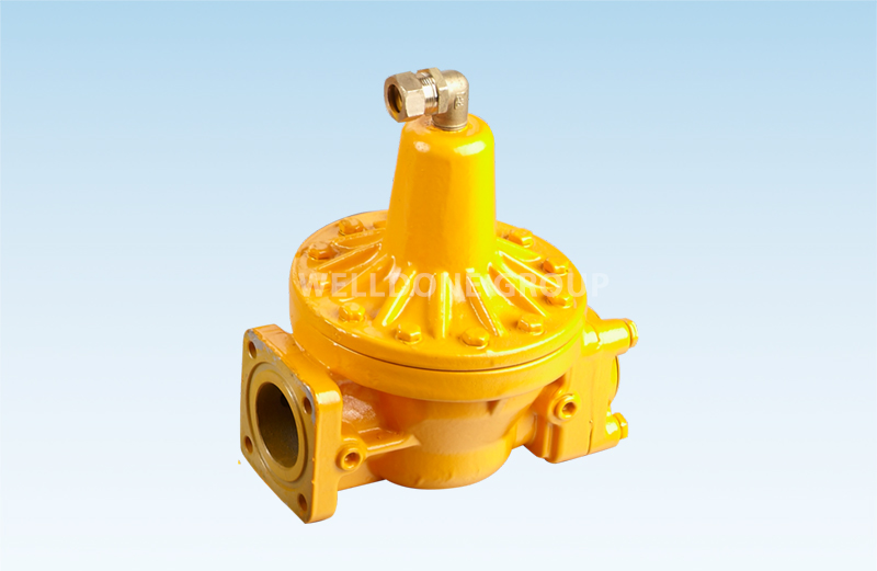 WDLPG-50 LPG Differential Valve