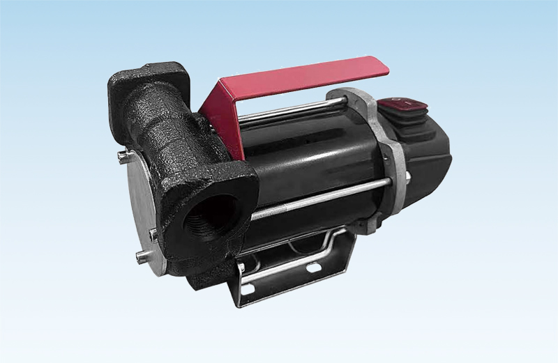 How often should a fuel pump undergo maintenance?