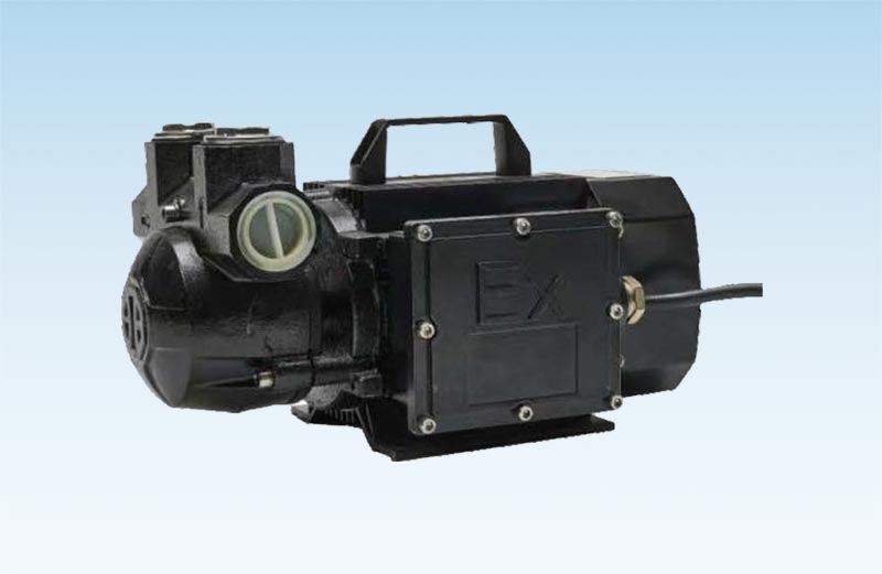 Can fuel pumps be used in portable fueling stations?