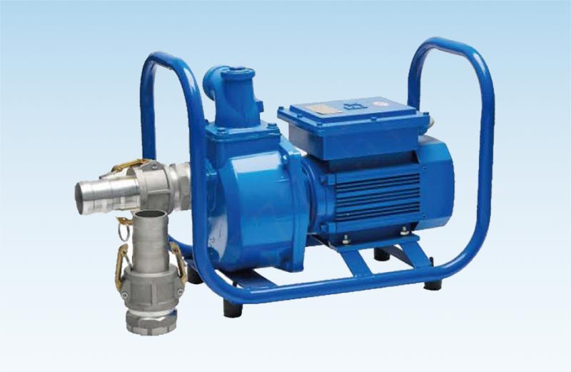 What are the environmental considerations for fuel pumps?