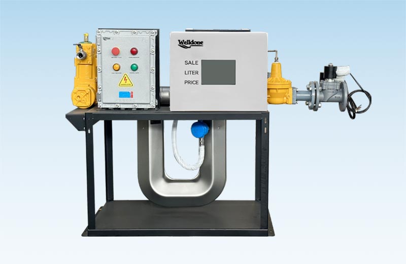 What are the common safety standards for LPG dispensers?